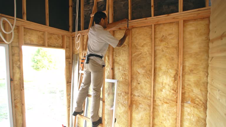 Best Soundproof Insulation  in Lake Barrington, IL