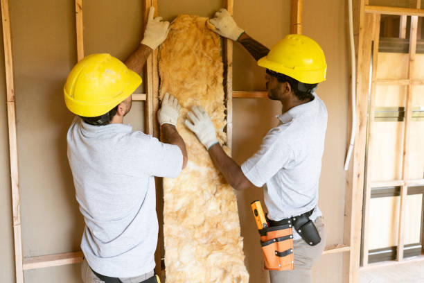 Best Blown-In Insulation  in Lake Barrington, IL